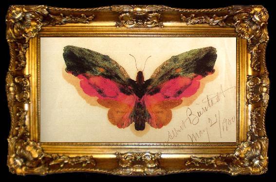 framed  Albert Bierstadt Butterfly, ta009-2